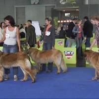 Salzburg Clubschau Mai 06 130 